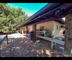 Borgo Grotta - Villa Con Piscina e Tesla - 24