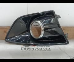 GRIGLIA ANTERIORE INFERIORE FENDINEBBIA DESTRA FOR