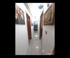 Pressi Policlinico soluzione semi dipendente con - 8