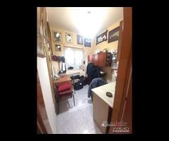 Pressi Policlinico soluzione semi dipendente con - 12