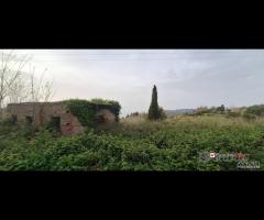 Locanda, terreno agricolo di circa 55000 mq, con