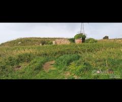 Locanda, terreno agricolo di circa 55000 mq, con