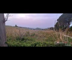 Locanda, terreno agricolo di circa 55000 mq, con