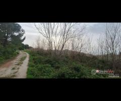 Locanda, terreno agricolo di circa 55000 mq, con - 6