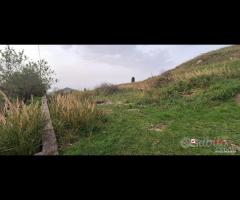Locanda, terreno agricolo di circa 55000 mq, con - 7