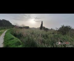 Locanda, terreno agricolo di circa 55000 mq, con - 8