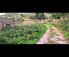 Locanda, terreno agricolo di circa 55000 mq, con - 10