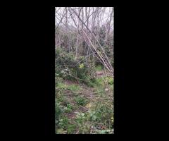 Locanda, terreno agricolo di circa 55000 mq, con - 11
