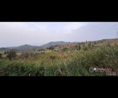 Locanda, terreno agricolo di circa 55000 mq, con - 13