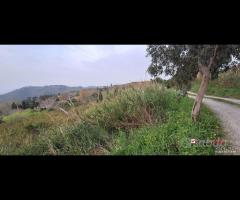 Locanda, terreno agricolo di circa 55000 mq, con - 14