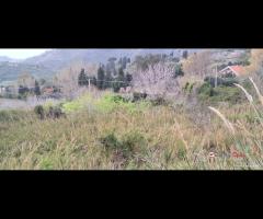 Locanda, terreno agricolo di circa 55000 mq, con - 15