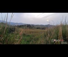 Locanda, terreno agricolo di circa 55000 mq, con - 17