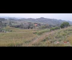 Locanda, terreno agricolo di circa 55000 mq, con - 18