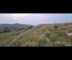Locanda, terreno agricolo di circa 55000 mq, con - 19