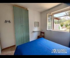 Appartamento Bilocale Spiaggia Pizzomunno - 6