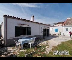 Bilocal 50 m Pizzomunno con Ombrellone incluso