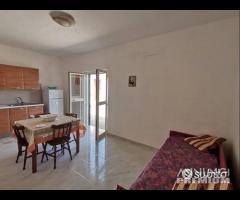 Bilocal 50 m Pizzomunno con Ombrellone incluso - 12