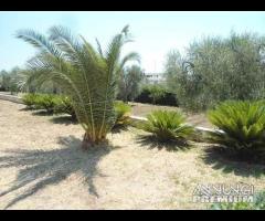 Villa Trilocale con Spiaggia Inclusa - 11