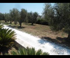 Villa Trilocale con Spiaggia Inclusa - 13