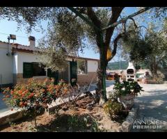 Moderna Villetta a 50m dal mare