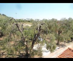 Appartamento con terrazza in villa vicino al mare - 21