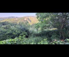 Rometta, terreno terrazzato di circa 2300 mq - 7