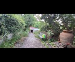 Rometta, terreno terrazzato di circa 2300 mq - 8