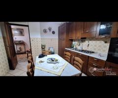 Svincolo gazzi, comodo trivani e servizi - 12