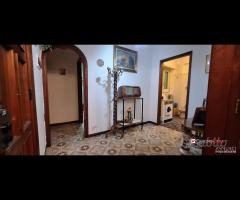 Svincolo gazzi, comodo trivani e servizi - 19