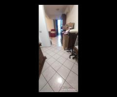 Contesse, ristrutturato due vani con vista mare - 17