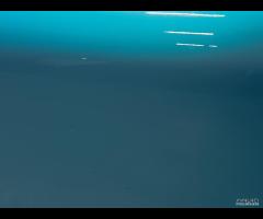 PORTA PORTIERA ANTERIORE SINISTRA SX MINI F55 2013 - 11