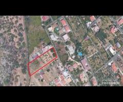 Terreno Agricolo mq 6000 zona Cardillo rif-101/25