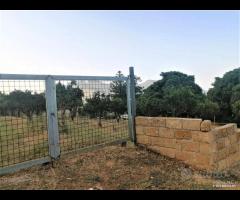 Terreno Agricolo mq 6000 zona Cardillo rif-101/25