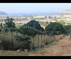 Terreno Agricolo mq 6000 zona Cardillo rif-101/25