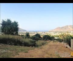 Terreno Agricolo mq 6000 zona Cardillo rif-101/25 - 6