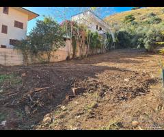 Terreno Edificabile zona S.Isidoro rif.102/25