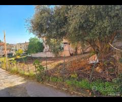 Terreno Edificabile zona S.Isidoro rif.102/25 - 11