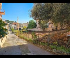 Terreno Edificabile zona S.Isidoro rif.102/25 - 12