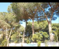 Porto Pino - Villa Via Pino D'Aleppo mq. 200 - 26