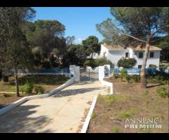 Porto Pino - Villa Via Pino D'Aleppo mq. 200 - 27