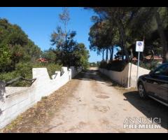 Porto Pino - Villa Via Pino D'Aleppo mq. 200 - 28