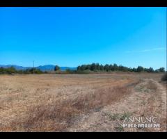 Villamassargia - terreno agricolo facile accesso - 6