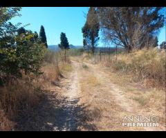Villamassargia - terreno agricolo pianeggiante