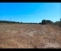 Villamassargia - terreno agricolo pianeggiante