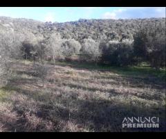 Nuxis - lotto edificabile, borgo residenziale - 7