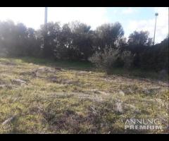 Nuxis - lotto edificabile, borgo residenziale - 8