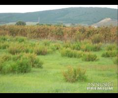 Sant'anna arresi - agricolo terreno in zona reside