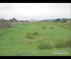 Sant'anna arresi - agricolo terreno in zona reside - 6