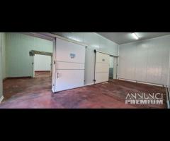 Castelvetrano magazzino di 1000 mq c.ca con terren - 9