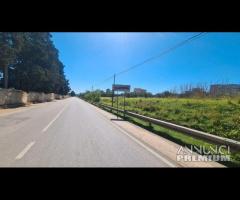 Castelvetrano terreno via bresciana 18000 mq - 7